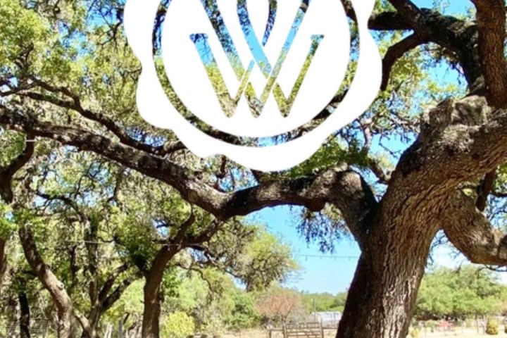 a wooden bench sitting next to a tree