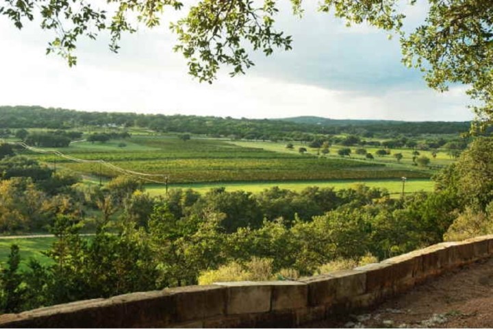 a large green field with trees in the background